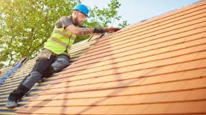Best Roof Moss and Algae Removal  in Haw River, NC